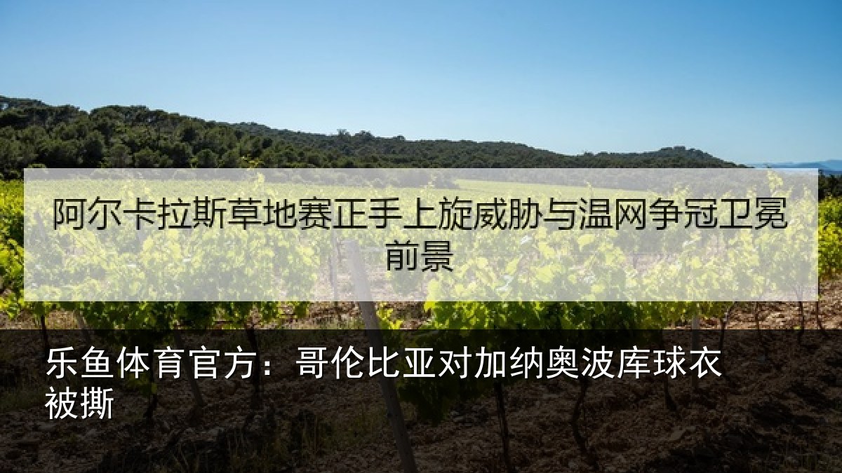 乐鱼体育官方:哥伦比亚对加纳奥波库球衣被撕