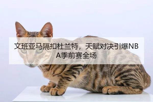 文班亚马隔扣杜兰特，天赋对决引爆NBA季前赛全场